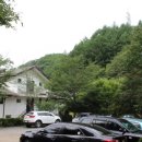 숲속의 산책 이미지