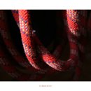 수원-0725 이미지