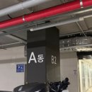 대한 바이오 에너지(주) | 문정 다이어트 바이오포톤 문정점 Lpg엔더몰로지 후기