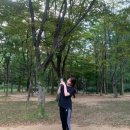 [평촌서울나우병원]20대 허리디스크 수술 후기(이전 통증부터 수술 당일~3일차)