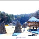 황순원문학촌 소나기마을 이미지