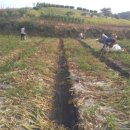 나포농장 이미지