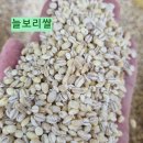 구수한 꽁보리밥~늘보리,찰보리 5kg=＞18,500원 무배입니다 이미지