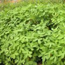 희망찬농장 이미지