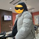 메디퀸스