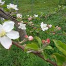 영덕싱싱농원 이미지