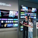 베스트윈윈 이미지