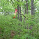 삼방산길 이미지