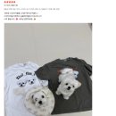 모아의류 | 아트굿즈 실제 고객 후기 모음집 1탄!! (의류)