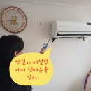 부산FX시스템&SJ | 부산에어컨매립배관 수리: 찬바람 안 나오는 원인은 동관 누설, 교체로 해결!