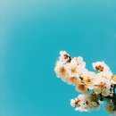 사내농장 이미지