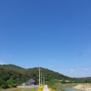 꽃길정육점