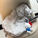 (주)아이스라이트 | 차정원 가방 | 몽벨 버사라이트 팩 20 백팩 아이스화이트 크림 구매후기