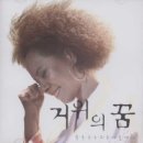 인순이 카카오 검색결과