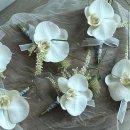 다산중앙로82번안길 115-2 이미지