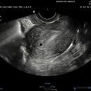 우먼필산부인과의원 이미지