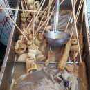 여주태평양약국 이미지