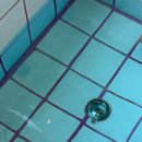 트라몬토 | [내돈내산] 강화도 족욕 카페 트라몬토, 소문만큼은 아니었던 솔직한 후기