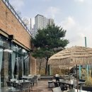 속에서 근사한 브런치 🥗🍵파머스빌리지플러스 호원점 / 의정부브런치 / 회룡역카페 / 범골역맛집...