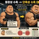 열심히 해도 다치는 사람 vs 안 다치고 느는 사람, 차이는 근육 용어 하나였다 #리듬엔젤스