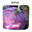 직접 키우고 가공해 믿음직한 추천 직접농사 직접가공 콜라비즙 후기