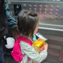 금호타이어중앙카랜드 | 울산에서 춘천 레고랜드와 강원도 3박4일 다녀온 후기