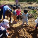 꿈예뜰어린이집 이미지