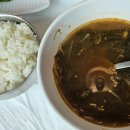 술물래밥물래 이미지