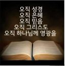 세번 태장 세번 파선 이미지