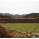 사촌주차장 이미지