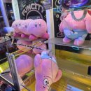 펀시티 FunCity 네이버블로그