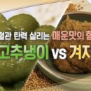 혈관 탄력 살리는 매운맛의 힘, 고추냉이 VS 겨자 [천기누설] 이미지