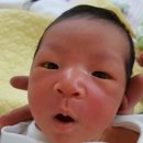 금오식당 이미지