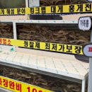 롯데횟집 - 김해시 | 속초맛집 찾는다면 속초대게부터 모듬회까지 만족했던 대포항맛집 머구리횟집 후기
