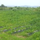 미실농장 이미지