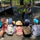 제일무궁화유치원 이미지