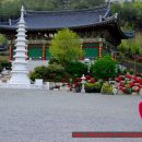 영산정사 성보박물관 이미지