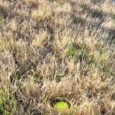 하늘바람사우나(염) | 안산 대부도 더헤븐CC 1박2일 라운딩 후기 Ⅰ 웨스트·이스트·사우스코스 사우나까지 좋았던 골프여행