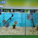 농협본점 이미지