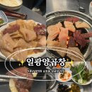 전통시장(옷전) | 40년 전통의 맛! 남포동 양곱창 맛집 자갈치시장맛집 "일광양곱창" 후기 자갈치양곱창맛집