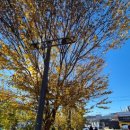 가평철길공원 이미지