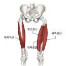 구미피티 이미지