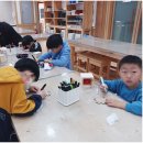 한국체대백궁태권도