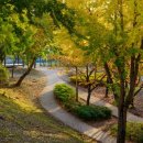 신암공원 이미지