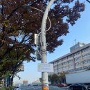 이주 노동자(Mig | 2022 부산비엔날레 후기 : 부산항 제1부두