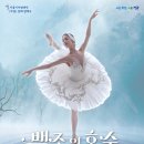 서울시티발레단 백조의 호수 이미지
