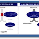 (주)사노피-아벤티스코리아 이미지