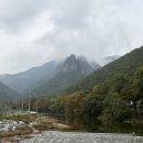 주왕산통나무집 | 소노벨 청송 숙박 후기&amp;청송 사과 여행기 (용추폭포, 통나무 172 사과 돈까스 후기, 솔샘온천, 사과피자...