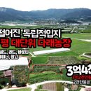 다래공인중개사사무소 이미지