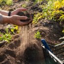 함평문화체육센터 체육관 이미지